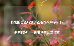 特别的爸爸特别的爸爸作文400字，特别的爸爸，一份独特的父爱作文