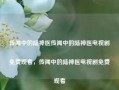 传闻中的陆神医传闻中的陆神医电视剧免费观看，传闻中的陆神医电视剧免费观看