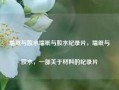 墙纸与胶水墙纸与胶水纪录片，墙纸与胶水，一部关于材料的纪录片