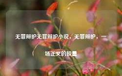 无罪辩护无罪辩护小说，无罪辩护，一场正义的较量