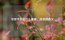 守灵守灵是什么意思，守灵的含义