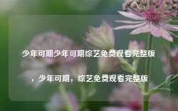 少年可期少年可期综艺免费观看完整版，少年可期，综艺免费观看完整版