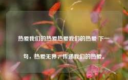 热爱我们的热爱热爱我们的热爱 下一句，热爱无界，传递我们的热爱。