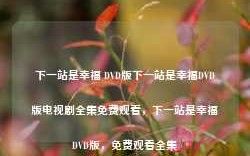 下一站是幸福 DVD版下一站是幸福DVD版电视剧全集免费观看，下一站是幸福DVD版，免费观看全集