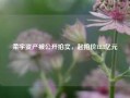 柔宇资产被公开拍卖，起拍价12.3亿元