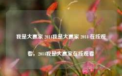 我是大赢家 2014我是大赢家 2014 在线观看，2014我是大赢家在线观看