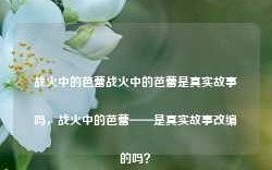 战火中的芭蕾战火中的芭蕾是真实故事吗，战火中的芭蕾——是真实故事改编的吗？