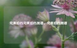 完美拍档完美拍档简谱，完美拍档简谱