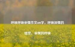 呼唤呼唤亲情作文600字，呼唤深情的纽带，亲情的呼唤