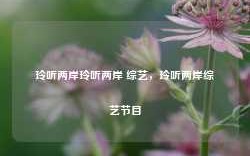 玲听两岸玲听两岸 综艺，玲听两岸综艺节目