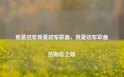 我是冠军我是冠军歌曲，我是冠军歌曲的励志之路