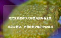 跨次元新星跨次元新星免费观看全集，跨次元新星，免费观看全集的全新体验