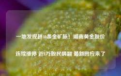 一地发现超40条金矿脉！湖南黄金股价连续涨停 近8万股民嗨翻 最新回应来了