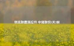 物流股震荡拉升 中储股份3天2板