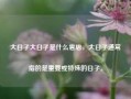 大日子大日子是什么意思，大日子通常指的是重要或特殊的日子。