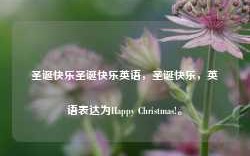 圣诞快乐圣诞快乐英语，圣诞快乐，英语表达为Happy Christmas!。