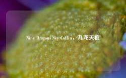 Nine Dragons Sky Coffin，九龙天棺