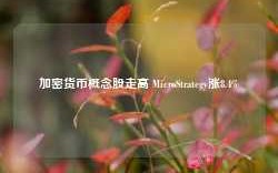 加密货币概念股走高 MicroStrategy涨8.4%