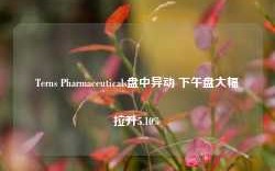 Terns Pharmaceuticals盘中异动 下午盘大幅拉升5.10%