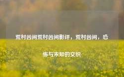 荒村凶间荒村凶间影评，荒村凶间，恐怖与未知的交织