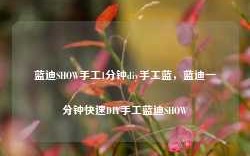 蓝迪SHOW手工1分钟diy手工蓝，蓝迪一分钟快速DIY手工蓝迪SHOW