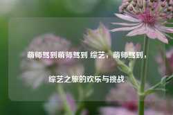 萌师驾到萌师驾到 综艺，萌师驾到，综艺之旅的欢乐与挑战-第1张图片-地坪门户网