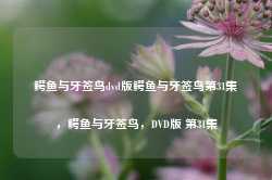 鳄鱼与牙签鸟dvd版鳄鱼与牙签鸟第31集，鳄鱼与牙签鸟，DVD版 第31集-第1张图片-地坪门户网