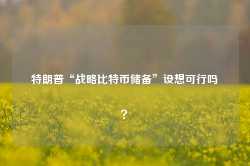 特朗普“战略比特币储备”设想可行吗？-第1张图片-地坪门户网