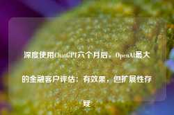 深度使用ChatGPT六个月后，OpenAI最大的金融客户评估：有效果，但扩展性存疑-第1张图片-地坪门户网