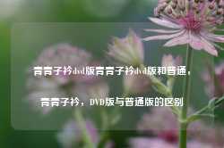 青青子衿dvd版青青子衿dvd版和普通，青青子衿，DVD版与普通版的区别-第1张图片-地坪门户网