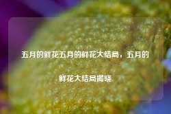 五月的鲜花五月的鲜花大结局，五月的鲜花大结局揭晓-第1张图片-地坪门户网