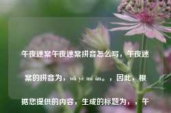 午夜迷案午夜迷案拼音怎么写，午夜迷案的拼音为，wǔ yè mí àn。，因此，根据您提供的内容，生成的标题为，，午夜迷案，悬疑探案之旅-第1张图片-地坪门户网