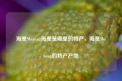 海星Shining海星是哪里的特产，海星Shining的特产产地-第1张图片-地坪门户网