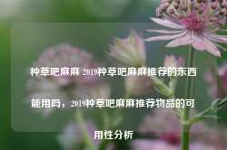 种草吧麻麻 2019种草吧麻麻推荐的东西能用吗，2019种草吧麻麻推荐物品的可用性分析-第1张图片-地坪门户网