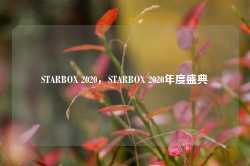 STARBOX 2020，STARBOX 2020年度盛典-第1张图片-地坪门户网