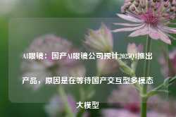 AI眼镜：国产AI眼镜公司预计2025Q1推出产品，原因是在等待国产交互型多模态大模型-第1张图片-地坪门户网