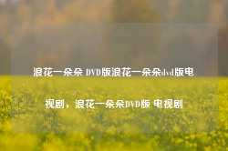 浪花一朵朵 DVD版浪花一朵朵dvd版电视剧，浪花一朵朵DVD版 电视剧-第1张图片-地坪门户网