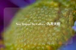 Nine Dragons Sky Coffin，九龙天棺-第1张图片-地坪门户网