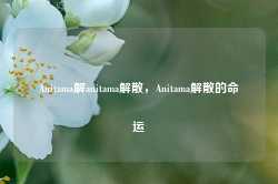 Anitama解anitama解散，Anitama解散的命运-第1张图片-地坪门户网