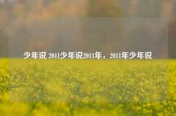 少年说 2011少年说2011年，2011年少年说-第1张图片-地坪门户网