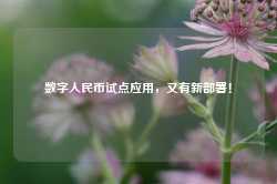 数字人民币试点应用，又有新部署！-第1张图片-地坪门户网