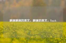 触摸触摸的英文，触摸的英文，Touch-第1张图片-地坪门户网