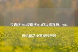 汉语桥 2013汉语桥2013总决赛视频，2013汉语桥总决赛视频回顾-第1张图片-地坪门户网