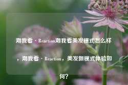 潮我看·Reaction潮我看美发模式怎么样，潮我看·Reaction，美发新模式体验如何？-第1张图片-地坪门户网