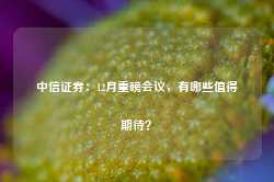 中信证券：12月重磅会议，有哪些值得期待？-第1张图片-地坪门户网