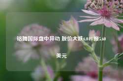 铭腾国际盘中异动 股价大跌6.04%报5.60美元-第1张图片-地坪门户网