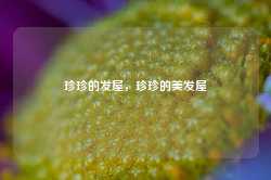 珍珍的发屋，珍珍的美发屋-第1张图片-地坪门户网