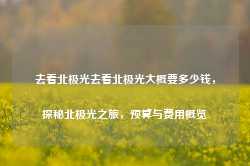 去看北极光去看北极光大概要多少钱，探秘北极光之旅，预算与费用概览-第1张图片-地坪门户网