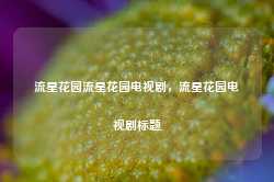 流星花园流星花园电视剧，流星花园电视剧标题-第1张图片-地坪门户网