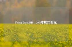 Flying Days 2010，2010年翱翔时光-第1张图片-地坪门户网